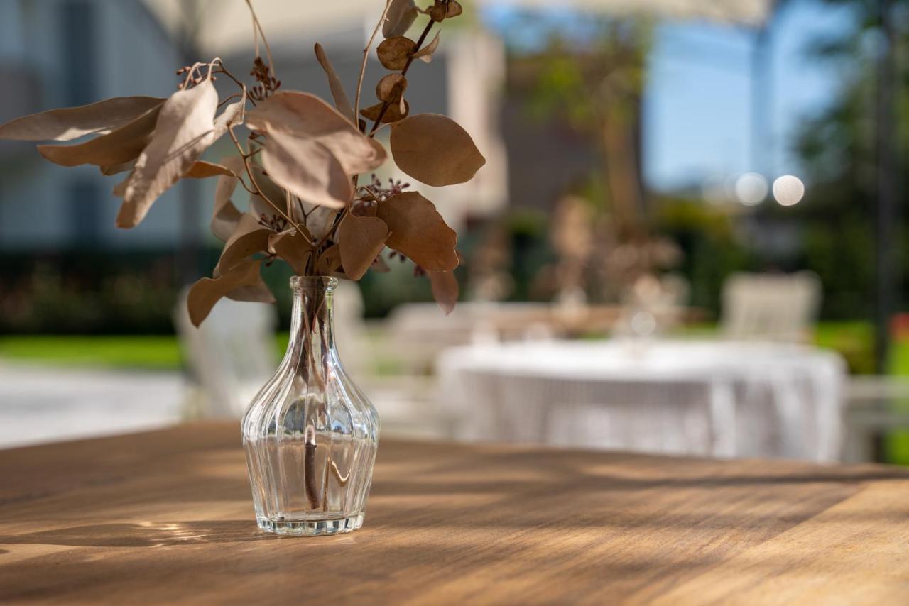 B&B Villa Ebe SantʼArcangelo di Romagna エクステリア 写真